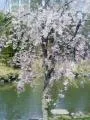 20090507130610
