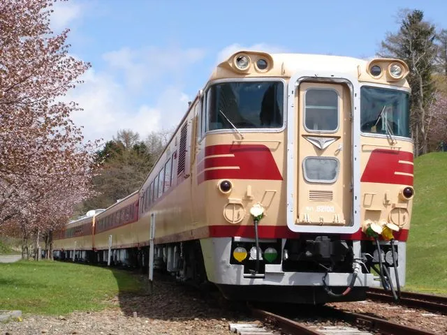 2011-mikas6