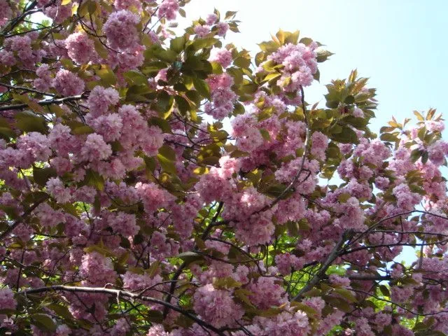 dsc01642.jpg